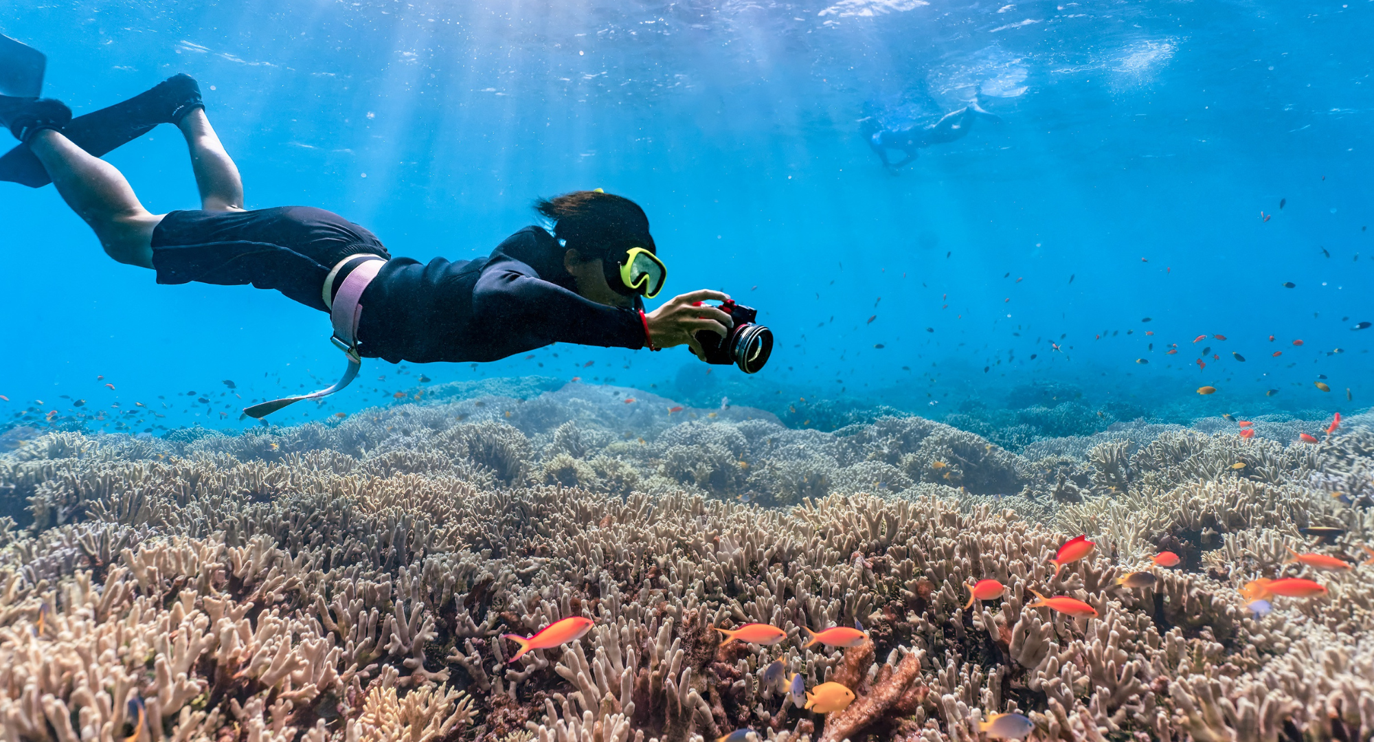 Phuket Scuba Diving Maithon Island